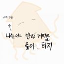 컴피테이블 이미지