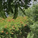 NY70 HOTEL(동인천점) | 인천 송현근린공원 산책 후기｜수도국산 달동네박물관과 함께 걷기 좋은 인천 동구 가볼만한곳