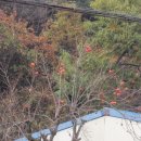 국립마산병원 이미지