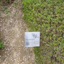 뮤지엄 산(페이퍼갤러리) | 원주 뮤지엄 산 관람 후기, 이배 전시 '기다리며'