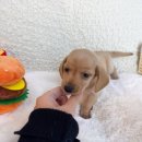 신림농장 이미지