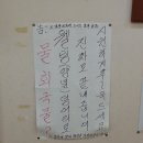 대전물회