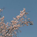 1545 | 후지필름 X-S10 + XC15-45mm 카메라 추천 2년 사용기