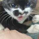 꾸무꾸무