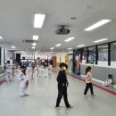 용인대 동성 태권도 이미지