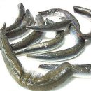 맛짱네 이미지