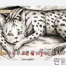 신혁농장 이미지