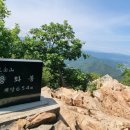 솔밭춘천막국수