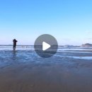 곰섬파라다이스2 - 태안군 곰섬로 574-22 | 곰섬파라다이스2
