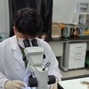 사미 경로당 이미지