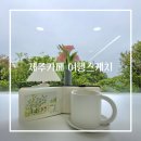 곶자왈노크 | 제주여행스케치-제주 카페 패스 이용 정보 및 후기 주디 카페 곶자왈 노크 창밖 풍경 스케치