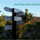 귀족호도박물관 Daum카페