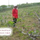 새순농장 이미지