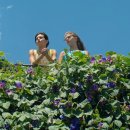 Friend-친구 | 드라마 '나의 눈부신 친구(My Brilliant Friend) ' 후기