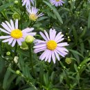 벌막공원 이미지