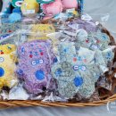 성보펫케어(주) 이미지