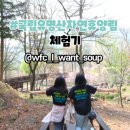 국립유명산자연휴양림 이미지