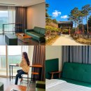 세븐일레븐 속초먹거리점 | 속초 가성비 호텔 강원도 속초 숙소 추천