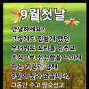 오지 말라해도 가을은 왔다 이미지