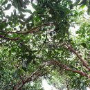 진표농장 이미지