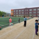 삼향초등학교 이미지