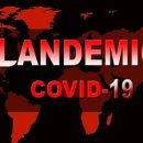 코로나 팬데믹 사기극을 폭로하다 이미지