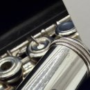 플룻 (B)? 이미지