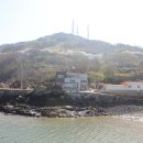 소연평도 Daum카페