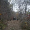 음정마을 이미지