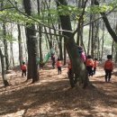 회인초교 병설유치원 이미지