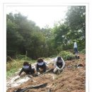 옥이농장 이미지