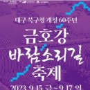 산격대교 인근 축제장 티스토리