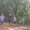 계족산 황톳길 이미지