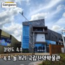 산악박물관 | 속초 아이와 가볼만한곳 산악박물관 고산체험 실내 놀거리 후기