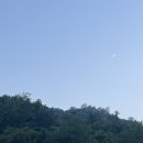 八月刊(3) :: 먹고 먹고 먹고