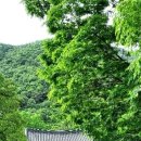 주주펜션 이미지