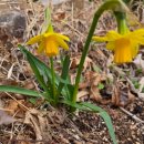 하랑작은도서관