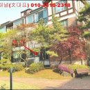 야탑로245번길 이미지