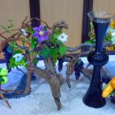 카톨릭대학교 이미지