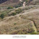 억새2축구장 이미지