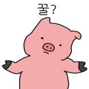 마우이보일링크랩
