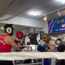 광주화랑권투 이미지