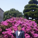 청송법무사합동사무소