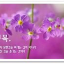 행복한 날 이미지