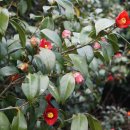 정약용의 남도 유배길(B코스) 이미지