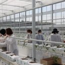 수만농장 이미지