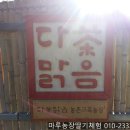 다맑음