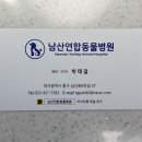 남산연합동물병원 이미지
