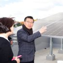 숲 태양광발전소 이미지