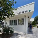 서울동물병원 | 강원도 삼척 셀레네 동물병원 서울 상수 단골 후기